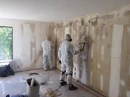 Trusted Idaho Falls, ID Mold Inspection Experts